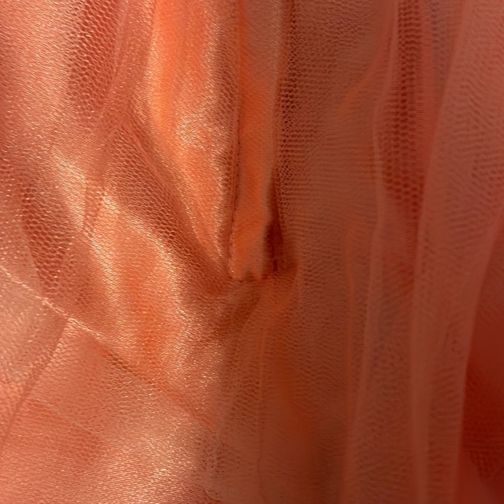 Prom Dress - Picture 13 of 14